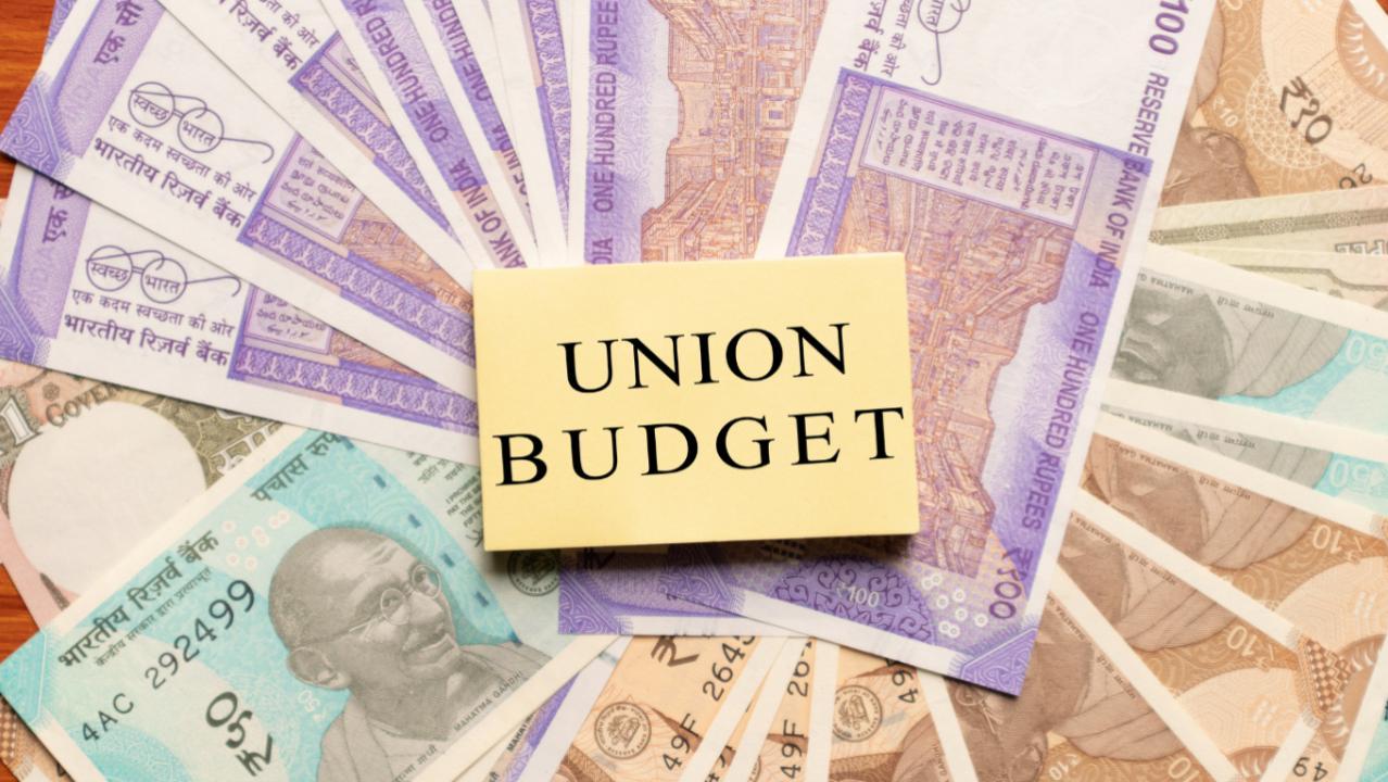 Budget 2023: Experts recommend budgeting for Green Budget, Edtech and Ecotourism